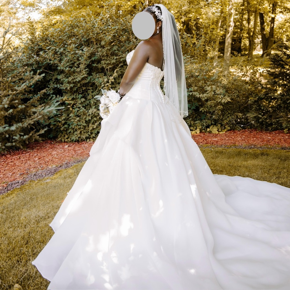 Sottero & Midgley DISCONTINUED Renita wedding dress in IVORY, and Veil. - Picture 6 of 15